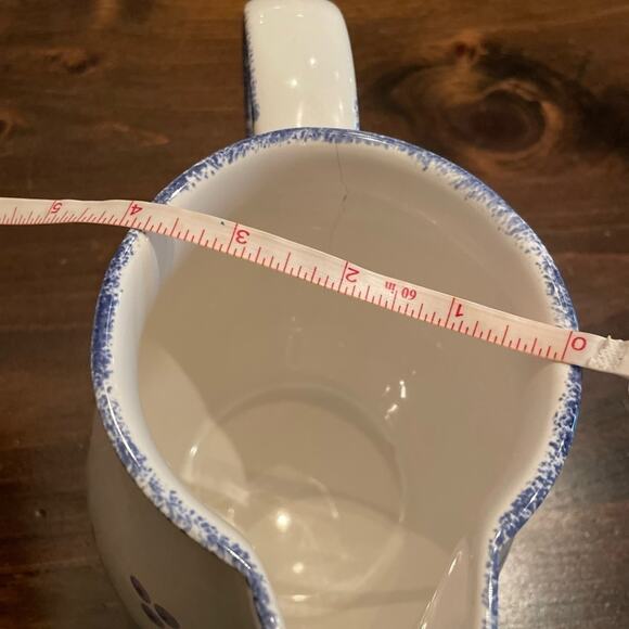 ⭐️ Pier 1 Imports Glass Kitchen Pitcher Sponge Print Rim White Blue Apples - Picture 6 of 12